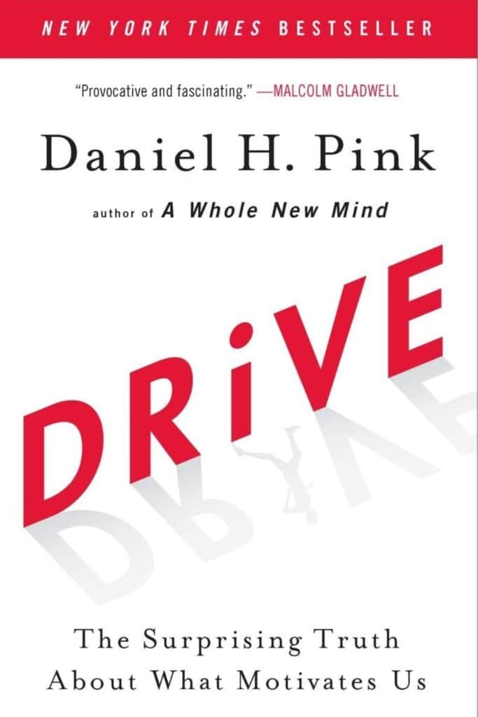 Book Cover - Drive